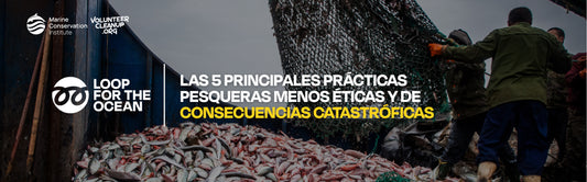 Enganchados a la destrucción